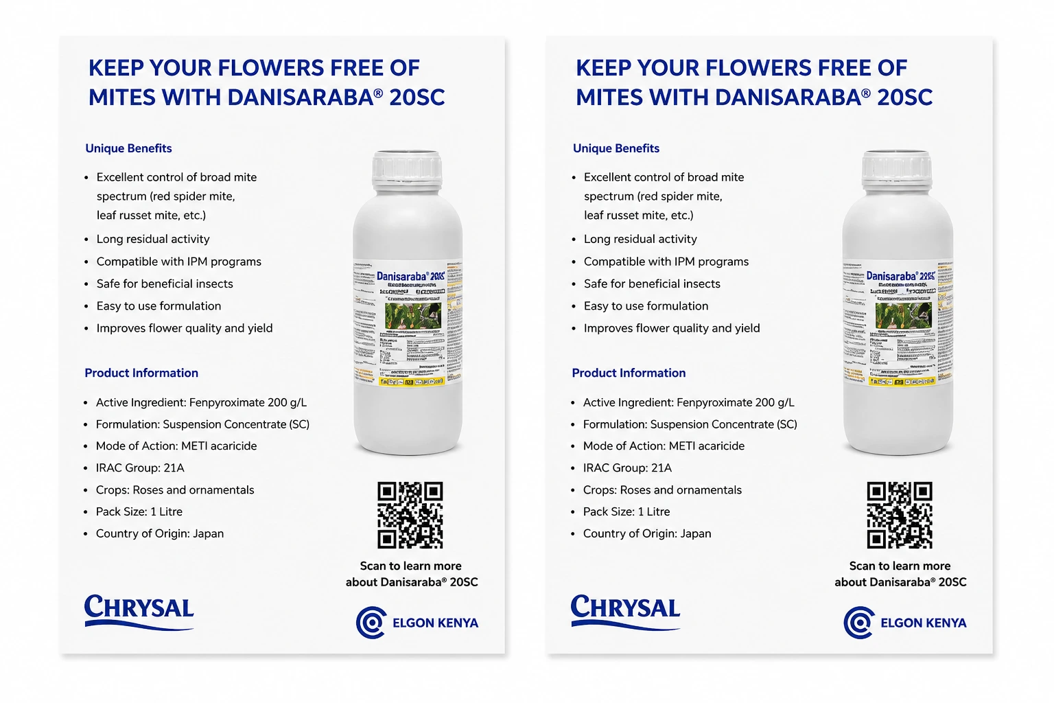 Informational Flyer