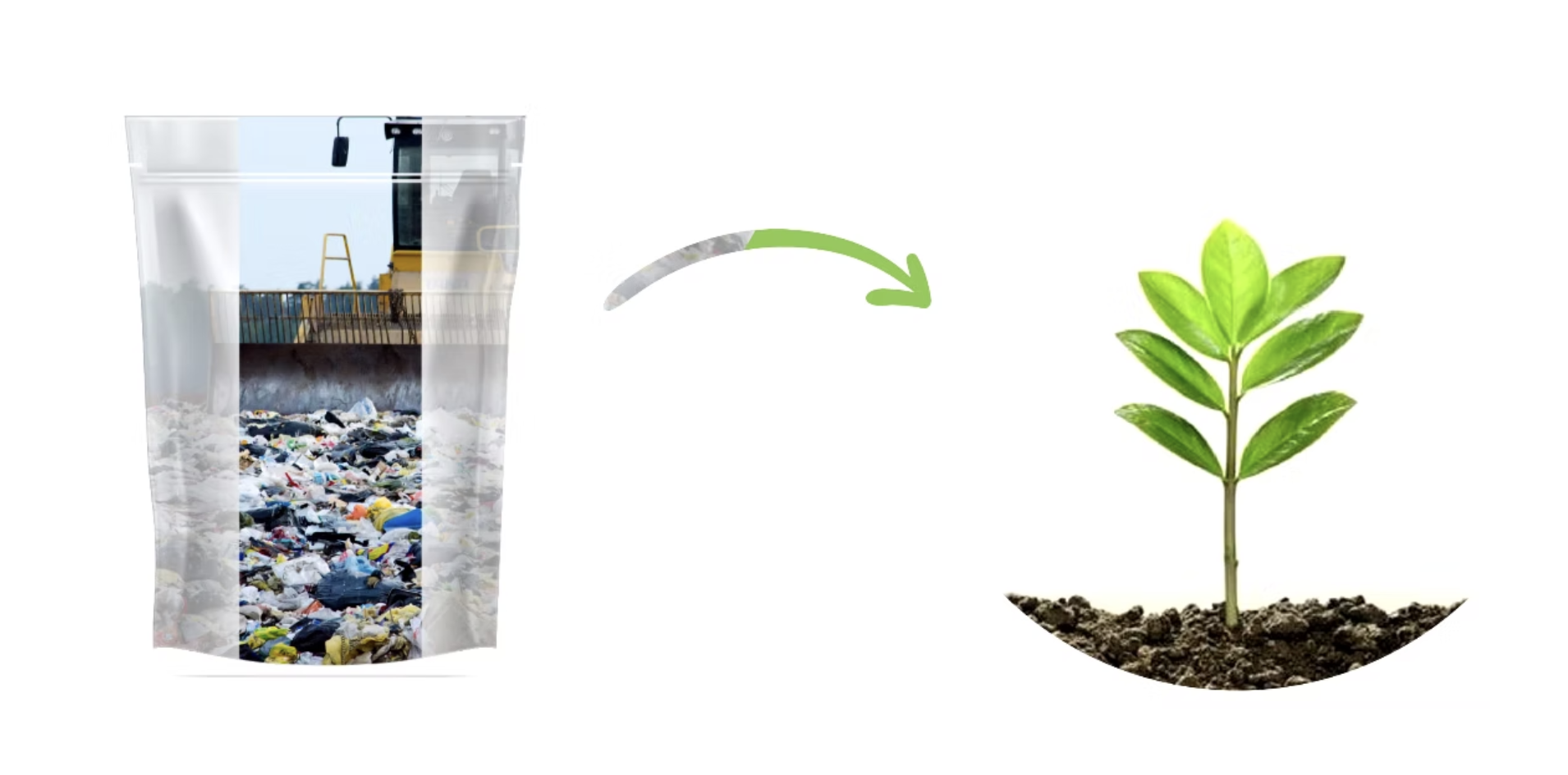 Biodegradable Packaging